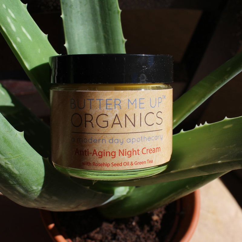 Anti-Aging Night Cream Face Moisturizer